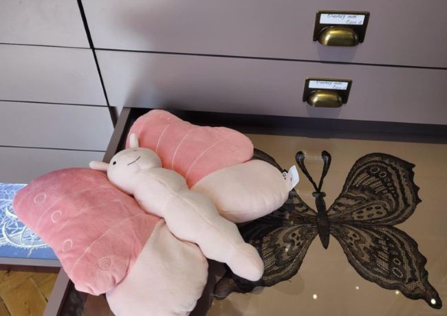 Marion le Papillon MAHB Bayeux